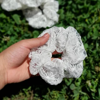 موبند اسکرانچی دانتل