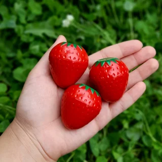 بالم لب توت فرنگی🍓